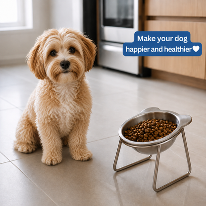 ORVA™ Orthopedic Feeding Bowl