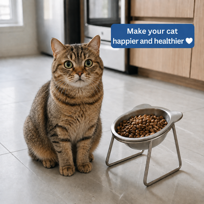 ORVA™ Orthopedic Cat Bowl Pet