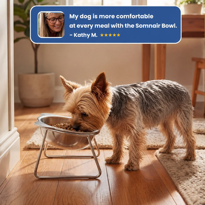 ORVA™ Orthopedic Feeding Bowl
