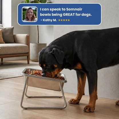 ORVA™ Orthopedic Feeding LARGE Bowl