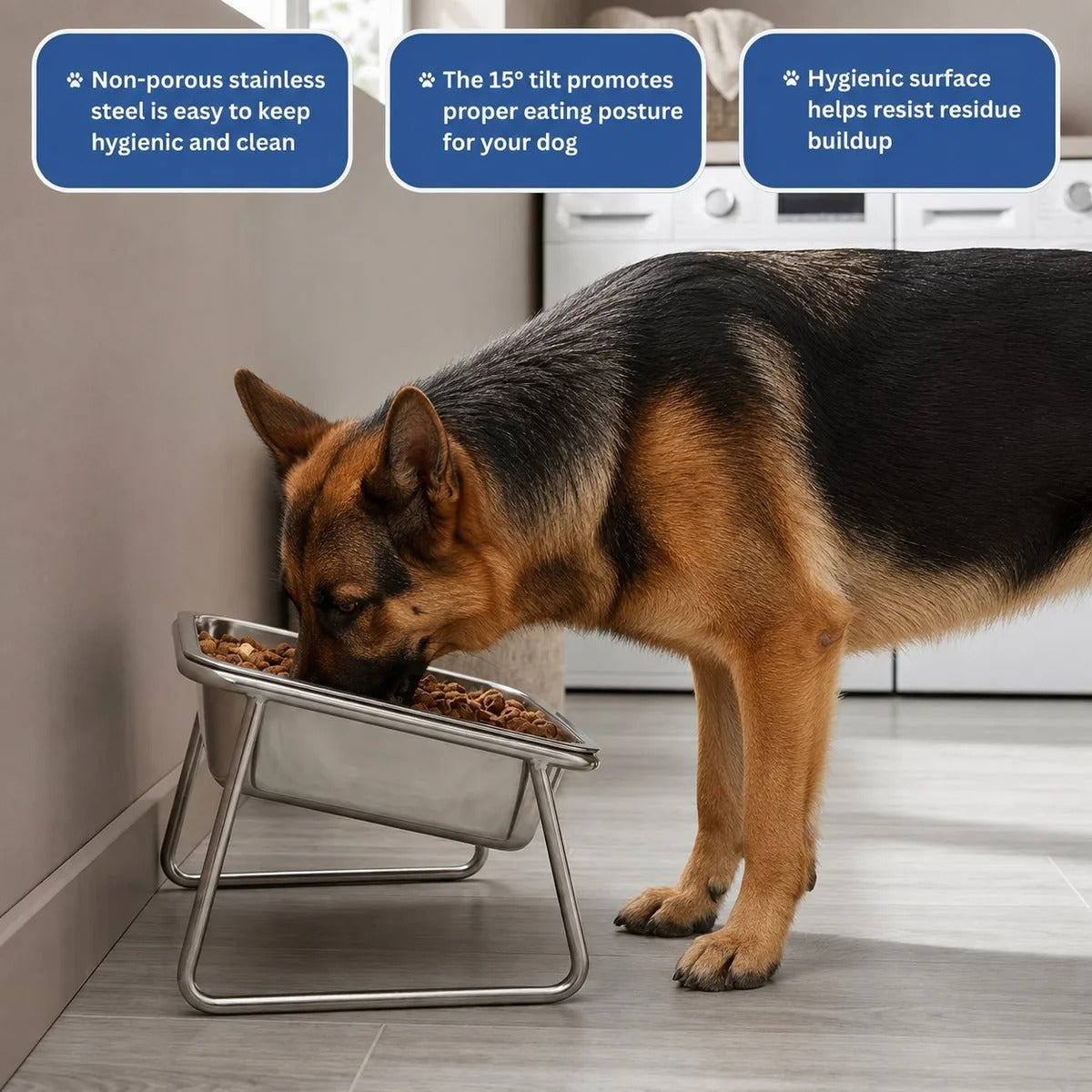 ORVA™ Orthopedic Feeding LARGE Bowl