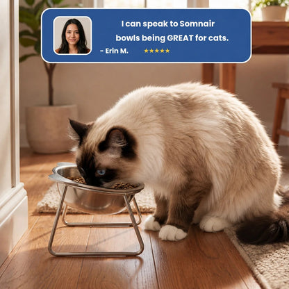 ORVA™ Orthopedic Cat Bowl Pet