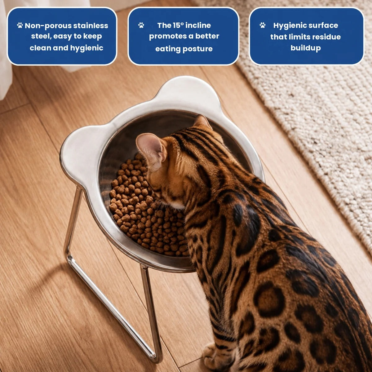 ORVA™ Orthopedic Cat Bowl Pet